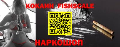 стафф Гай