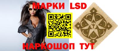 стафф Гай