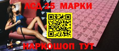 стафф Гай