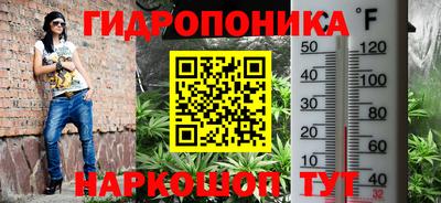 ECSTASY Гатчина