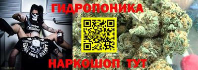 стафф Гай