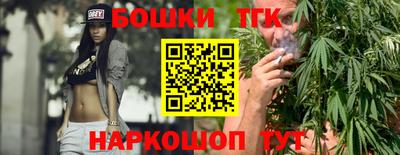 стафф Гай
