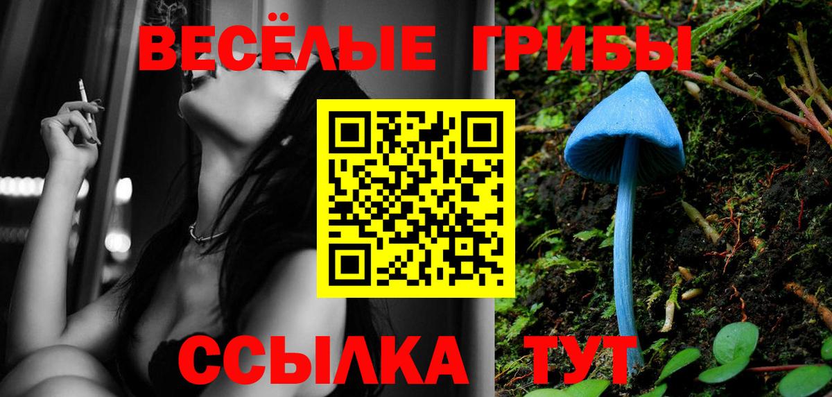 Псилоцибиновые грибы Psilocybine cubensis Михайловка
