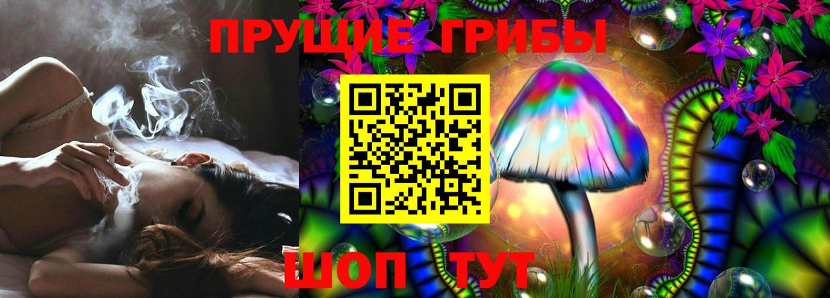 Михайловка  Галлюциногенные грибы Psilocybine cubensis  Вход с VPN  Псилоцибиновые грибы мицелий 